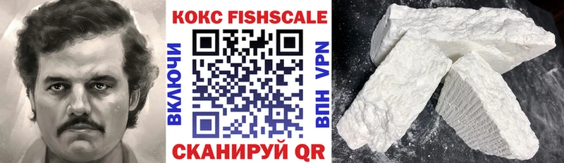 Купить  Тетюши  КОКАИН FishScale 