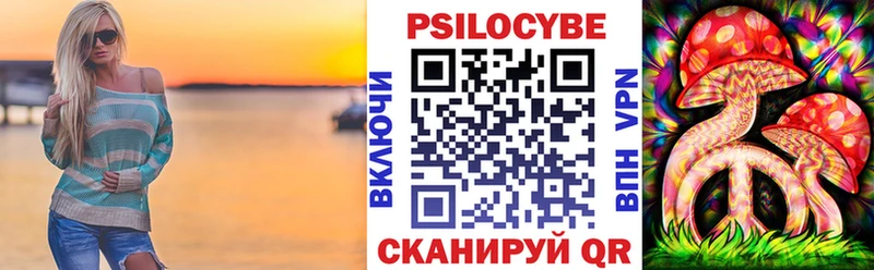 Купить закладки  Тетюши  Галлюциногенные грибы GOLDEN TEACHER 